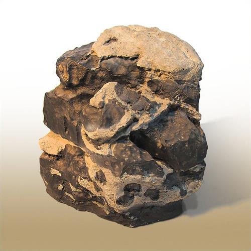 رسانه جدید