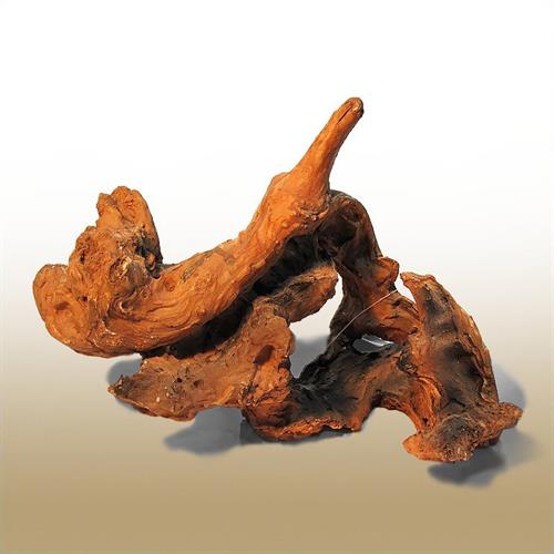 رسانه جدید