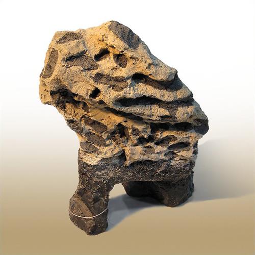 رسانه جدید