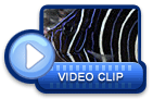 video icon 37