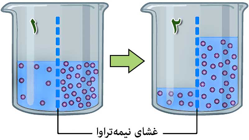 شماتیک اسمز